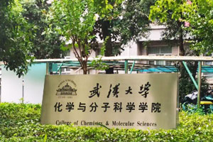 武漢大學(xué)化學(xué)與分子科學(xué)
