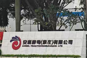 安琪酵母（崇左）有限公司實驗室純水機(jī)