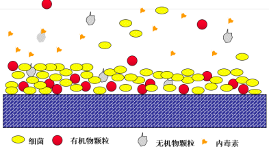 假期歸來，實(shí)驗(yàn)室純水系